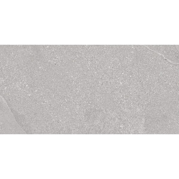 Zeta Grey 30cm x 60cm